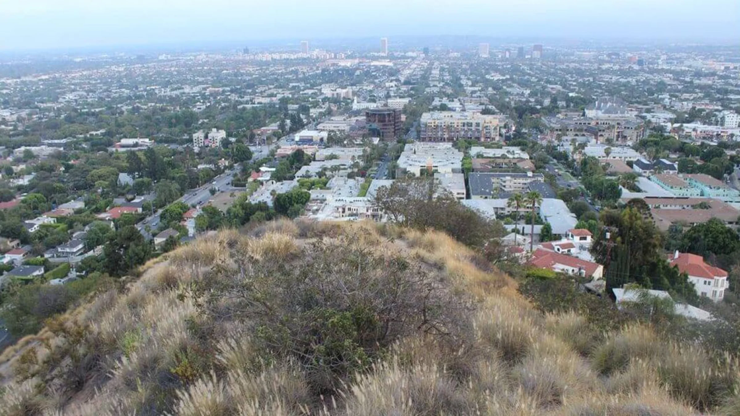 8030 FLORAL AVE